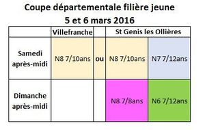 Coupe Départementale