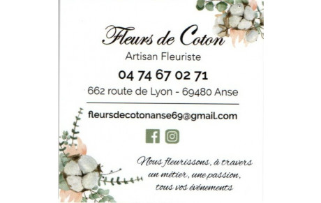 Fleurs de coton